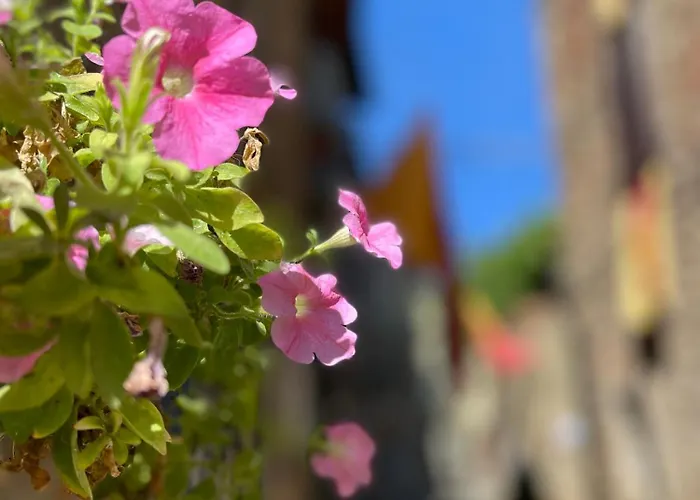 La Casa In Castello *